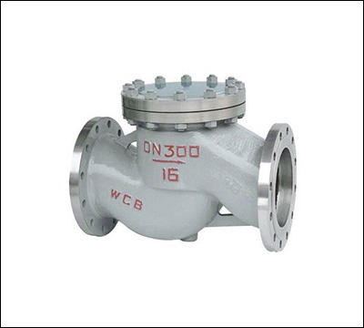 Carbon steel check valve — PVPeW 2026