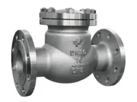 H44W Check Valve — PVPeW 2026
