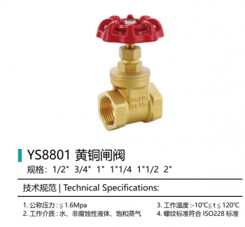 Brass Gate Valve — PVPeW 2026