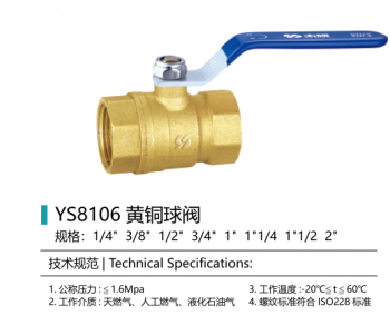 Brass Ball Valve — PVPeW 2026