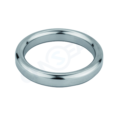 R‑Series Oval Ring Joint Gasket — PVPeW 2026