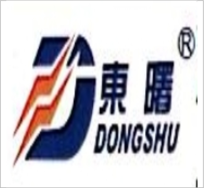 Wenzhou Dongshu Laser Technology Co., Ltd.
