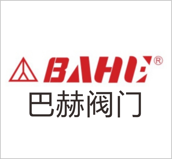 Zhejiang Bach Valve Technology Co., Ltd.