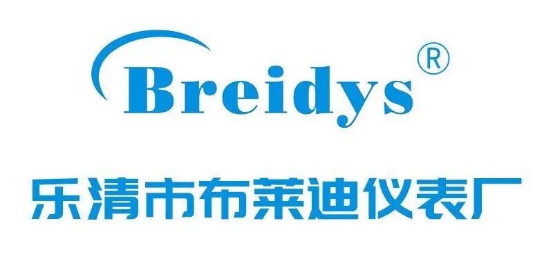 Yueqing City Bridie Instrument Factory