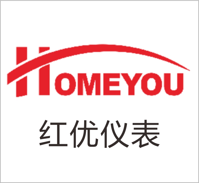 Hongyou Instrument (Shanghai) Co., Ltd.